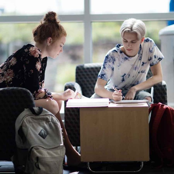 Students studying together on campus