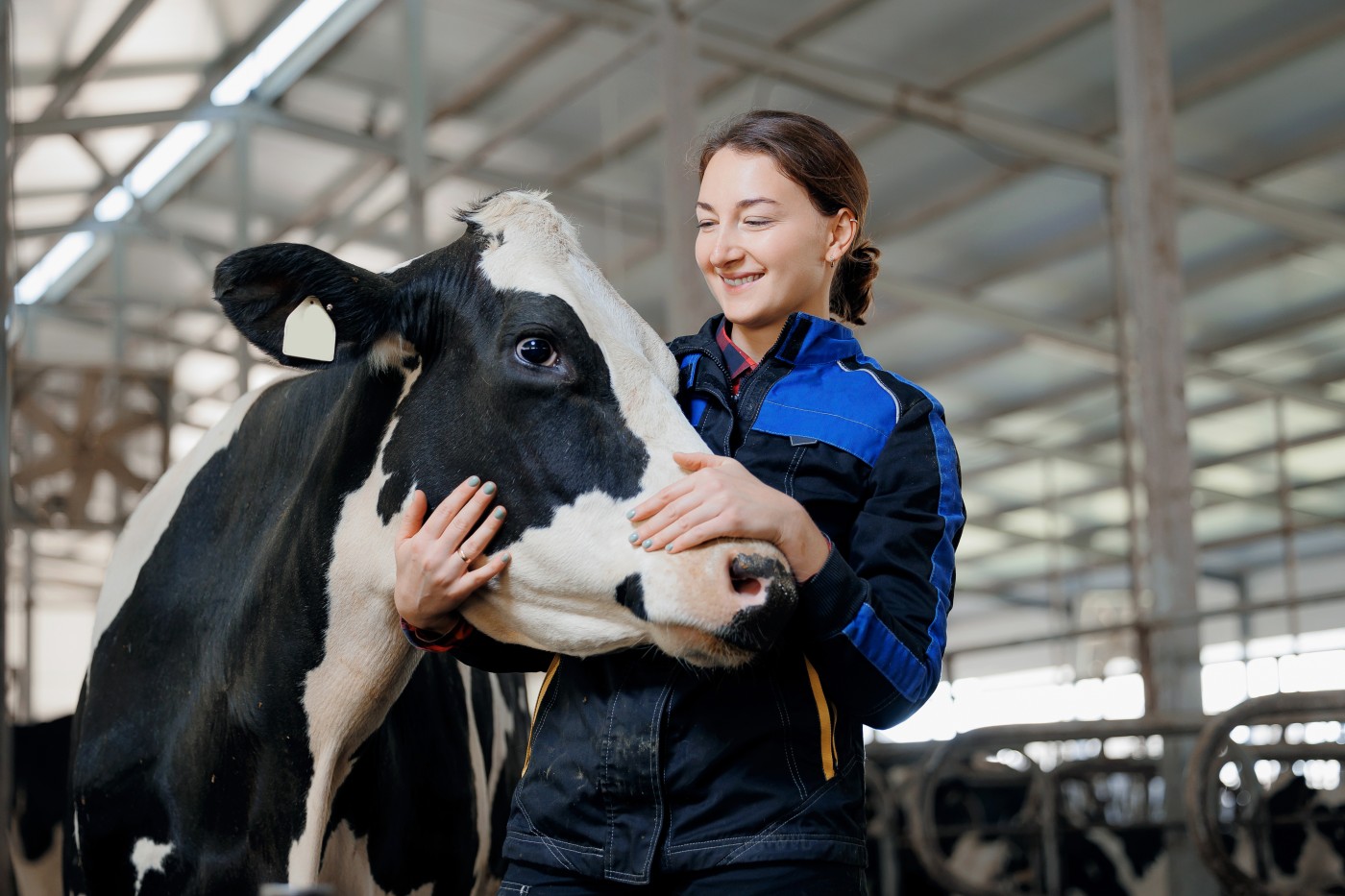 Calf and Heifer caretaker